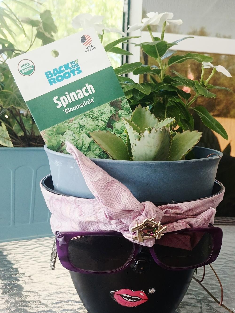 Miss Potty Head Planter Purple Sunglasses with Pink Bandana Accent